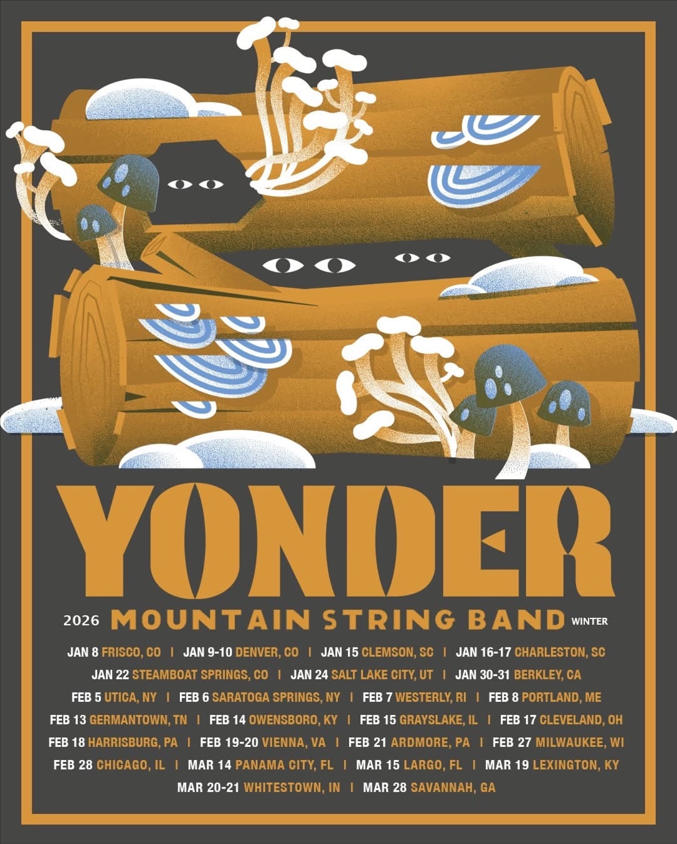 Yonder Mountain String Band Summer Tour Poster 2025